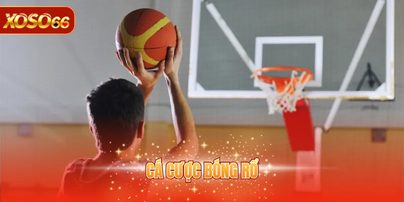 Cá Cược Bóng Rổ - Kinh Nghiệm Hữu Ích Giúp Rinh Thưởng 1 Cá cược bóng rổ