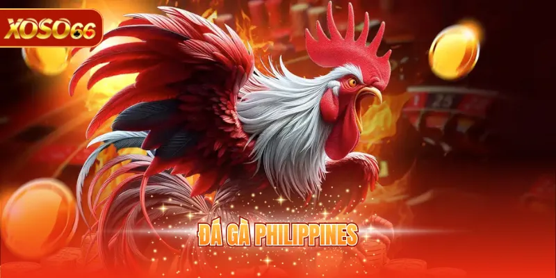 Đá Gà Philippines - Giải Trí Trực Tuyến Vô Cùng Hấp Dẫn 1 Đá gà Philippines