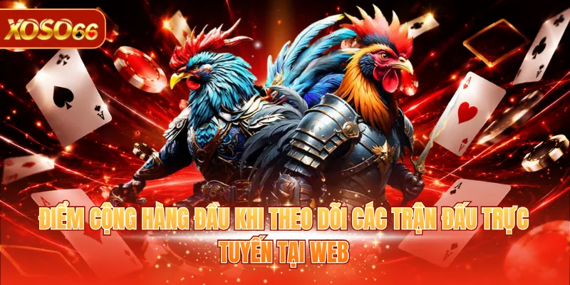 Điểm cộng hàng đầu khi theo dõi các trận đấu trực tuyến tại web