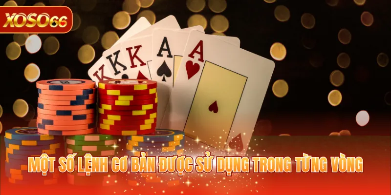 Poker Online - Siêu Phẩm Game Đấu Trí Căng Thẳng 2026 3 Một số lệnh cơ bản được sử dụng trong từng vòng